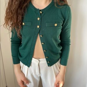 Petite sophisticate button down shirt